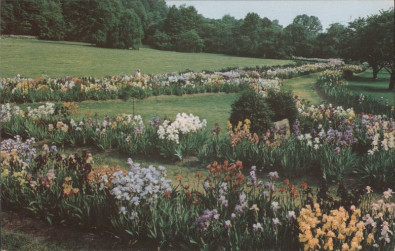 Presby Memorial Iris Gardens, Montclair, NJ New Jersey
