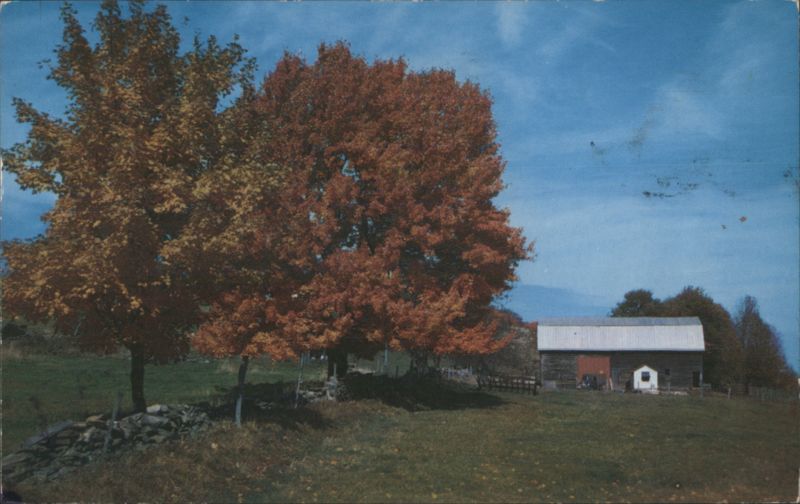 Autumn Beauty Barn & Trees Seasons