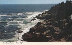 Northeast Storm - Otter Cliff, Acadia National Park Postcard