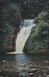 The Lower Falls, Buck Hill Falls, PA Postcard