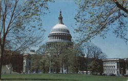 United States Capitol Building Postcard