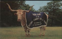 Abilene Longhorn, National Cowboy Hall of Fame Mascot Postcard