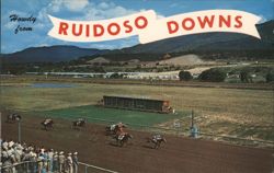 Howdy from Ruidoso Downs Horse Racing Track Postcard