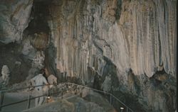 Lake Shasta Caverns, Stalactites & Formations Postcard
