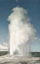 Old Faithful Geyser Erupting, Yellowstone Park Postcard