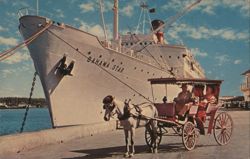 S/S BAHAMA STAR Cruise Ship, Horse Carriage, Nassau Postcard