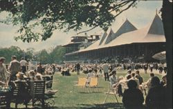 Saratoga Race Track Lawns, Relaxing Between Races Postcard