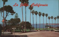 La Jolla California Scripps Park Palm Trees Ocean View Postcard
