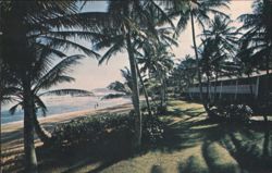 Dorado Beach Hotel, Palm Trees & Ocean View Postcard