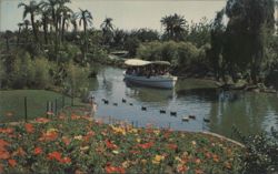 Boat Tour Through Palm Area at Busch Gardens Postcard
