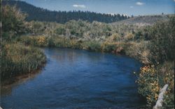 Owens River at Arcularius Ranch, A Fishermans Paradise Postcard
