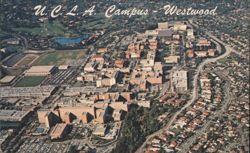U.C.L.A. Campus - Westwood Aerial View Postcard