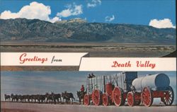 Greetings from Death Valley, 20-Mule Team Borax Outfit Postcard