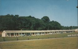 New London Motel - AAA Approved, Duncan Hines Recommended Postcard