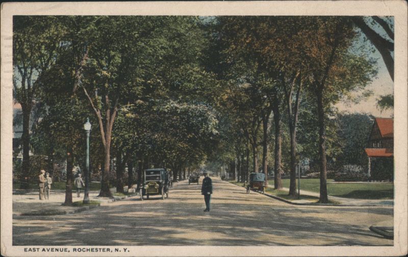 East Avenue, Tree-Lined Street with Cars & People Rochester New York