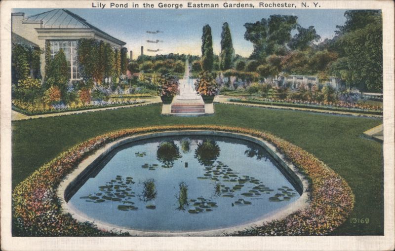 Lily Pond in the George Eastman Gardens Rochester New York