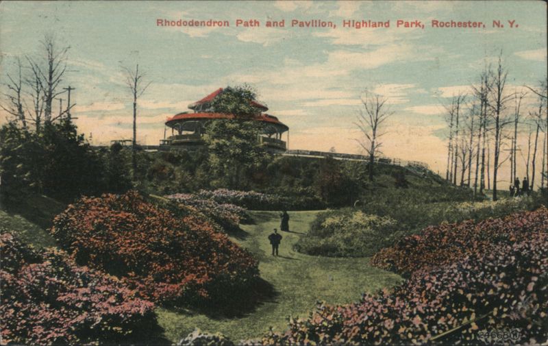 Rhododendron Path and Pavilion, Highland Park Rochester New York