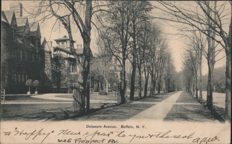 Delaware Avenue, Tree-Lined Street Buffalo New York