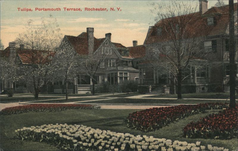 Tulips, Portsmouth Terrace, Rochester, NY New York