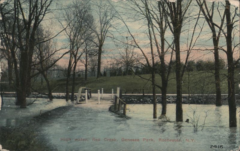 High water, Red Creek, Genesee Park Rochester New York