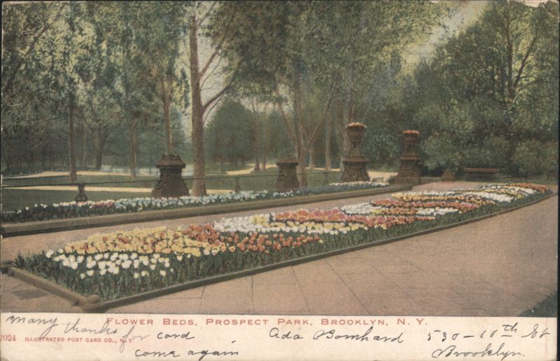Flower Beds, Prospect Park, Brooklyn, NY New York