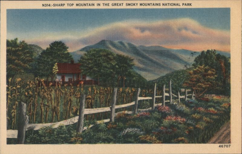 Sharp Top Mountain, Great Smoky Mountains National Park