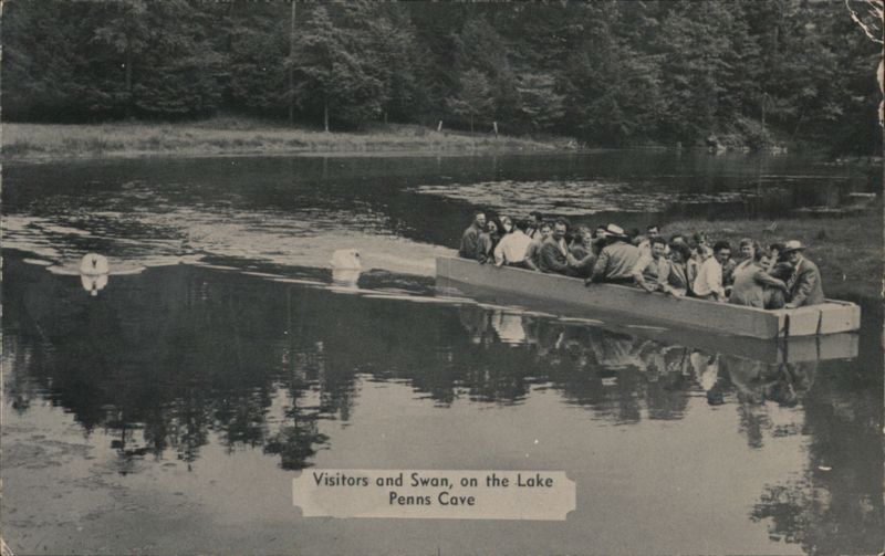 Penn's Cave Lake Visitors & Swan, Centre Hall, PA Pennsylvania