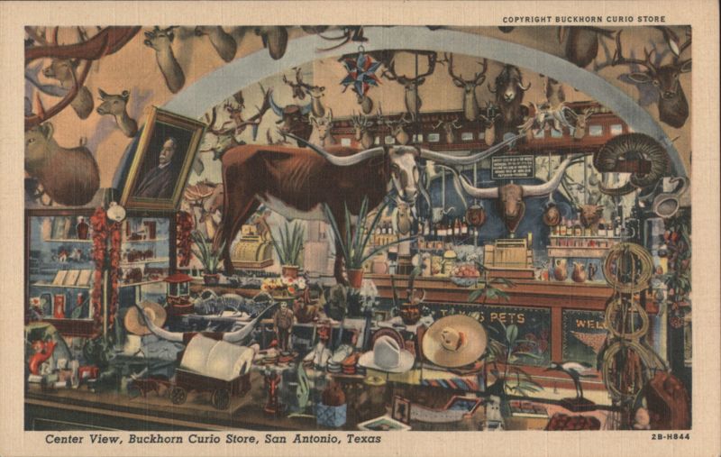 Buckhorn Curio Store, Longhorn TEX, San Antonio, TX Texas