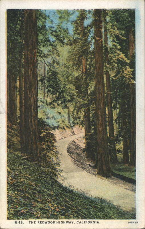 Redwood Highway, California
