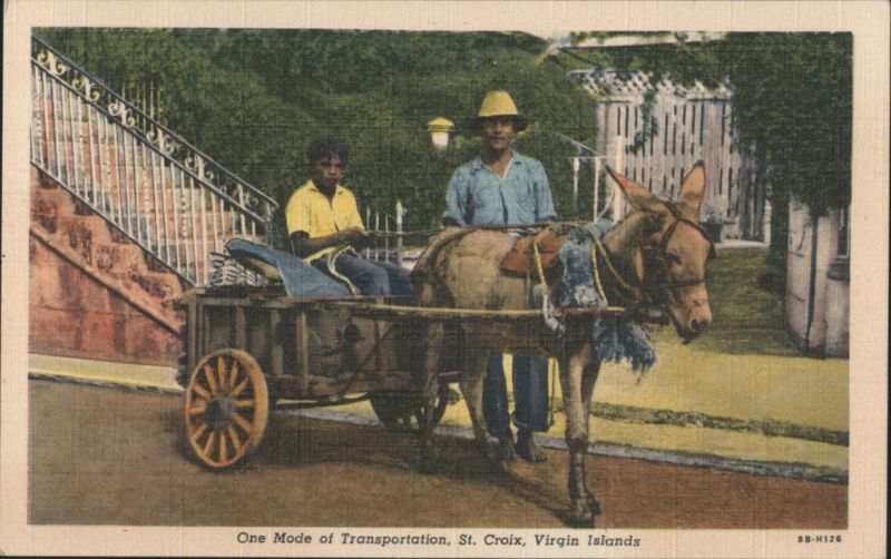 One Mode of Transportation, St. Croix, Virgin Islands