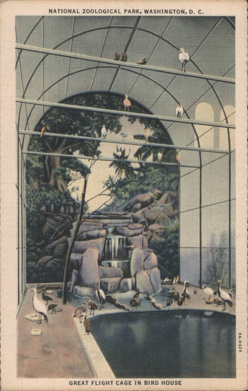 National Zoological Park, Great Flight Cage in Bird House Washington District of Columbia