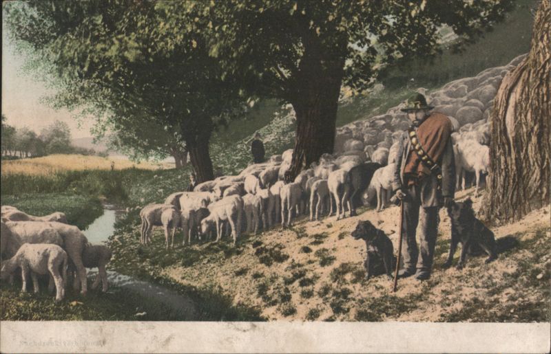 Shepherd with Flock of Sheep and Dogs by Stream