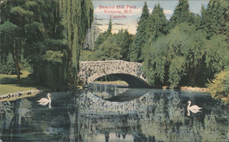 Beacon Hill Park Stone Bridge, Swans, Victoria, BC, Canada