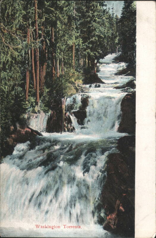 Washington Torrents Waterfall Forest