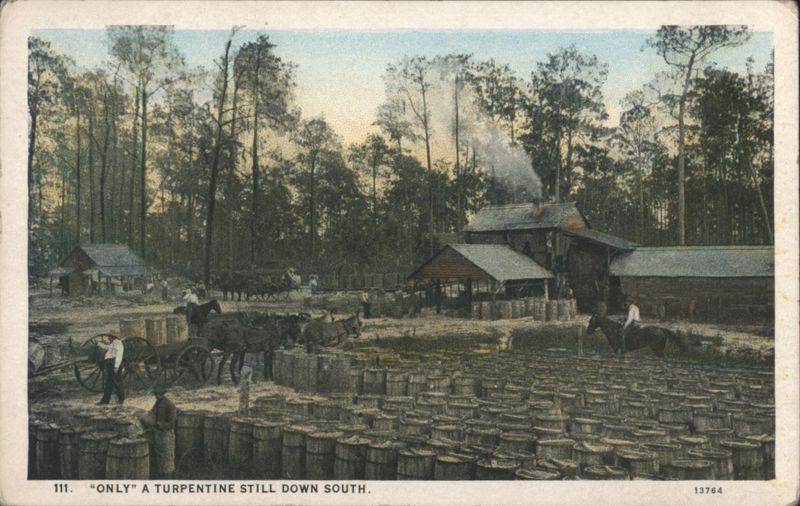 Turpentine Still Down South Workers Barrels Pine Forest North Carolina