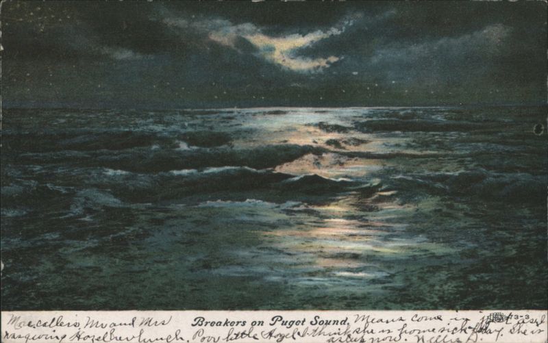 Breakers on Puget Sound, Moonlit Ocean Washington