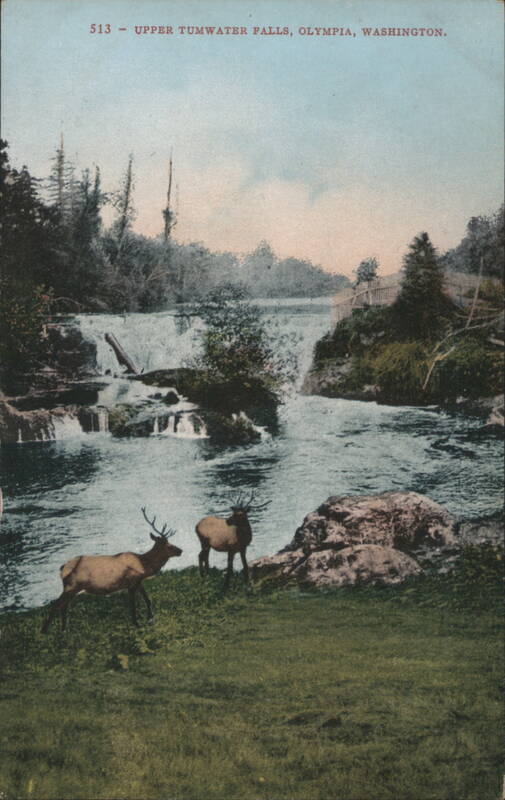 Upper Tumwater Falls with Deer Olympia Washington