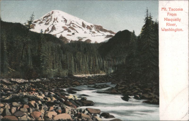 Mt. Tacoma From Nisqually River Washington