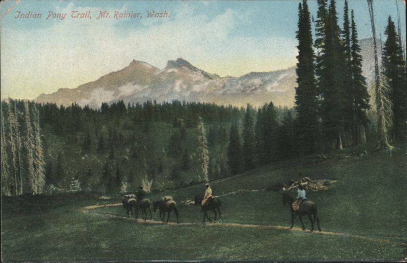 Indian Pony Trail, Mt. Rainier, WA Washington