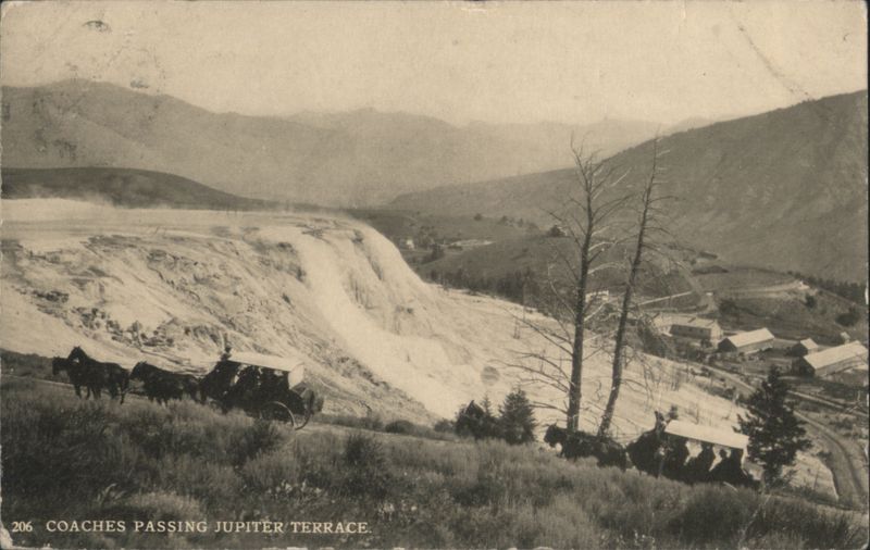 Coaches Passing Jupiter Terrace Yellowstone National Park
