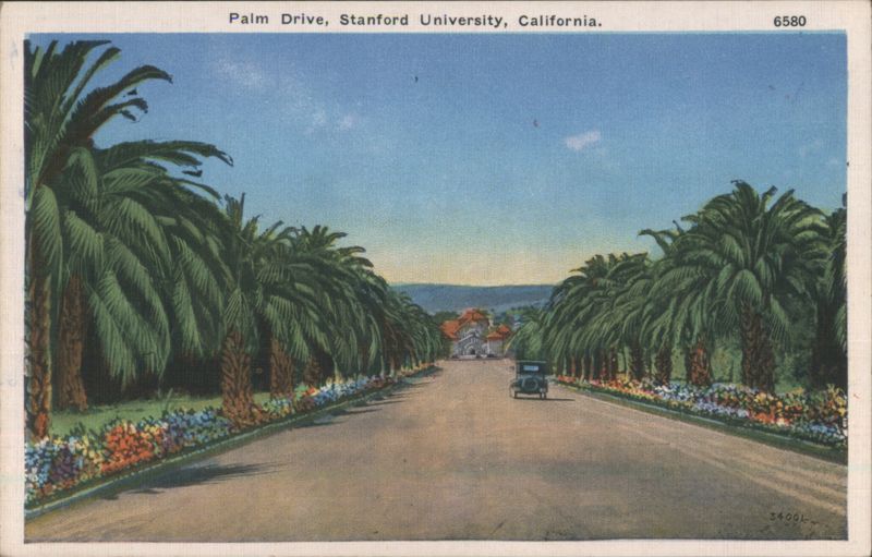 Palm Drive, Stanford University California