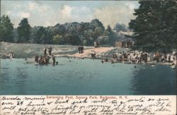 Swimming Pool, Seneca Park, Rochester, NY Postcard