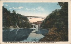 Genesee River Gorge, Driving Park Avenue Bridge, Rochester, NY Postcard