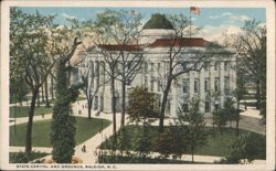 State Capitol and Grounds, Raleigh, N. C. Postcard