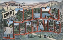 Greetings from Great Smoky Mountains National Park Postcard
