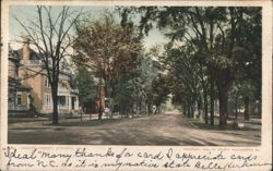 Greene Street, Tree-Lined Residential Area Postcard