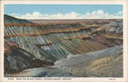 Painted Desert, Arizona - Near the Black Forest Postcard