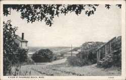 A View at Sagamore Beach Postcard