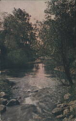 Spring Stream Wooded Landscape Postcard