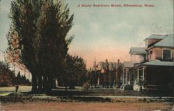 A Shady Residence Street Postcard